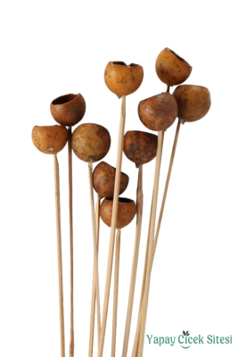 10lu Dekoratif Doğal Kabak Kuru Çiçek - Yapay Çiçek Sitesi