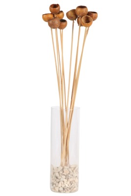 10lu Dekoratif Doğal Kabak Kuru Çiçek - 2