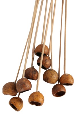 10lu Dekoratif Doğal Kabak Kuru Çiçek - 3