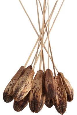 10lu Tropik Mehogany Kuru Çiçek - 3