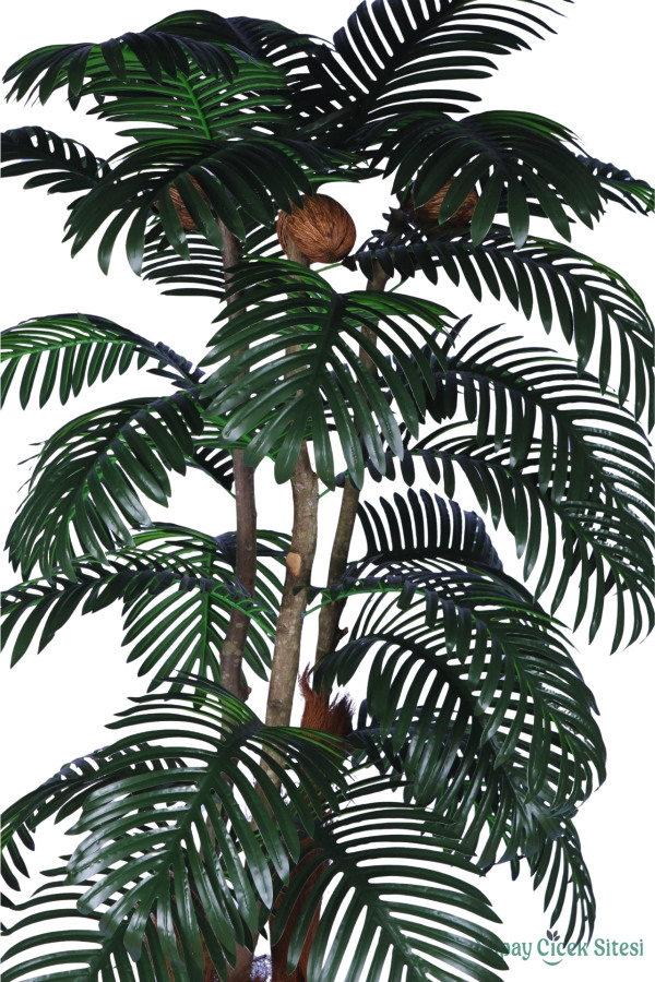 3 Gövdeli Siyah Saksıda Yapay Tropikal Palmiye Ağacı 28 Yapraklı 180 cm - 2