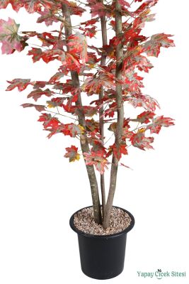 3 Gövdeli Yapay Akçaağaç Ağacı 200 cm - 2