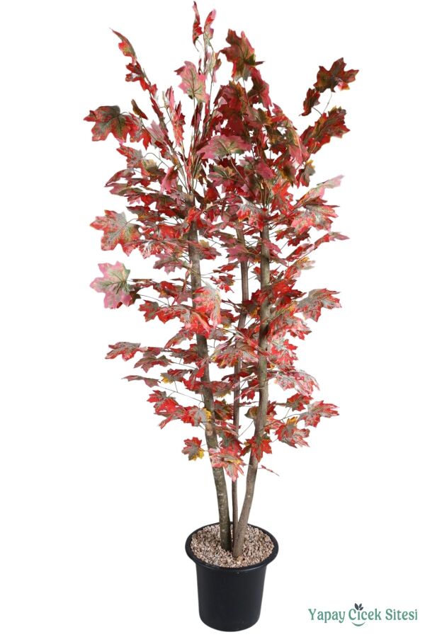 3 Gövdeli Yapay Akçaağaç Ağacı 200 cm - 3