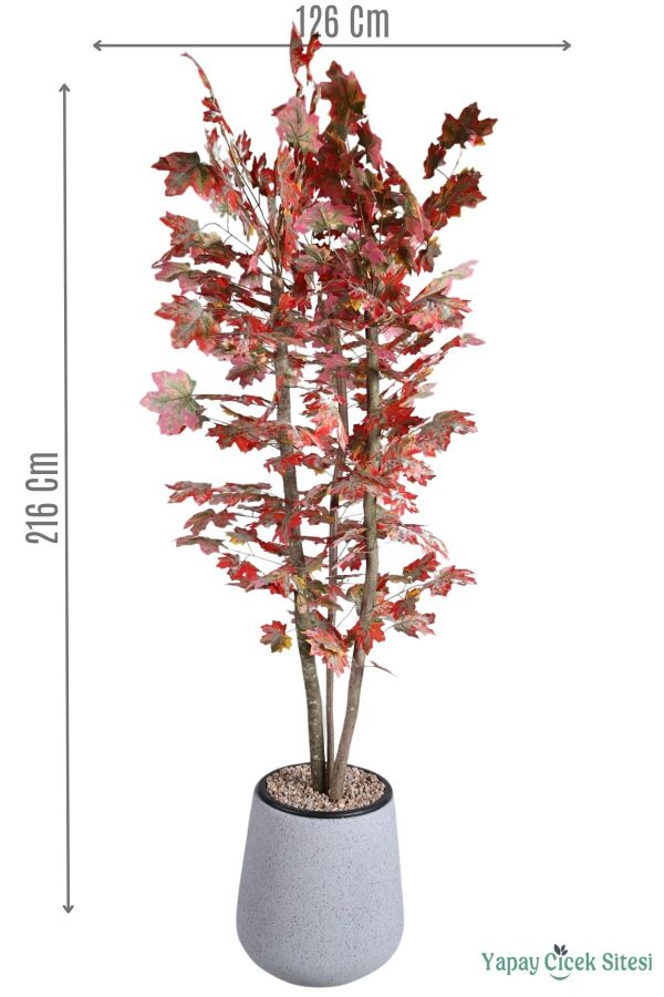 3 Gövdeli Yapay Akçaağaç Ağacı 216 cm - 1