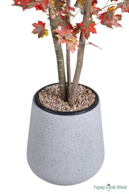 3 Gövdeli Yapay Akçaağaç Ağacı 216 cm - 2