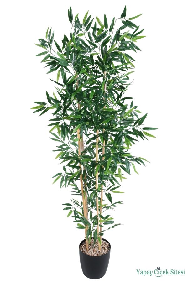 Yapay Bambu Ağacı 170 cm (Siyah Saksılı) - 3