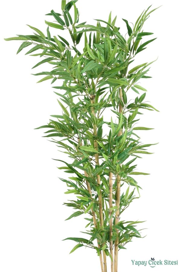 4 Gövdeli Yapay Bambu Ağacı 170 cm Model 4 - 3