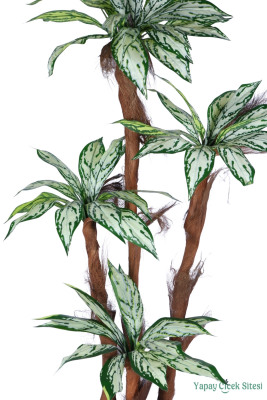 4 Gövdeli Yapay Difenbahya Ağacı Model 1 - 2