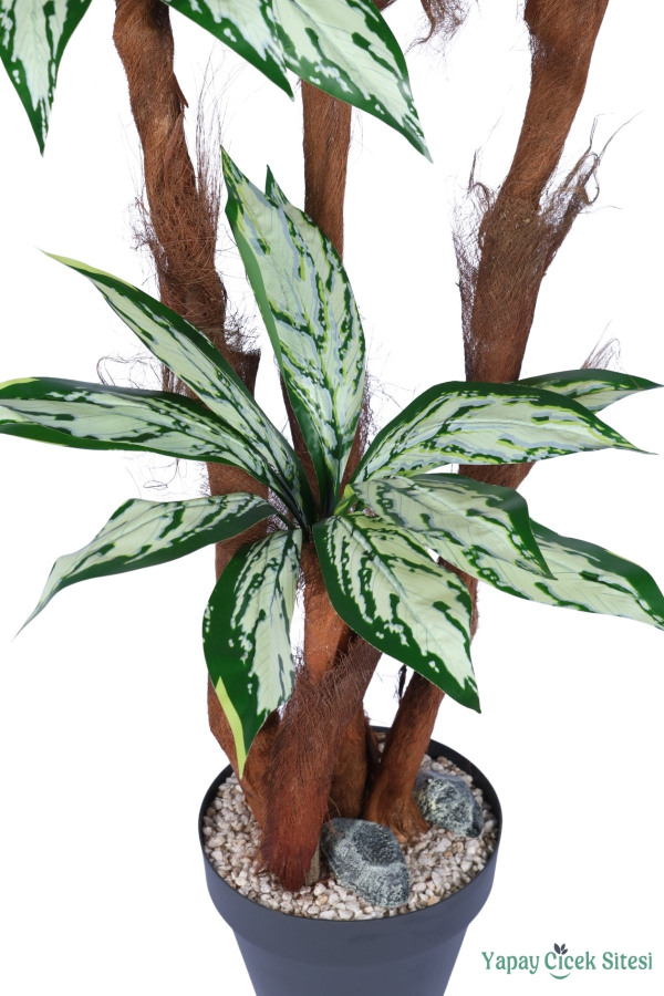 4 Gövdeli Yapay Difenbahya Ağacı Model 1 - 3