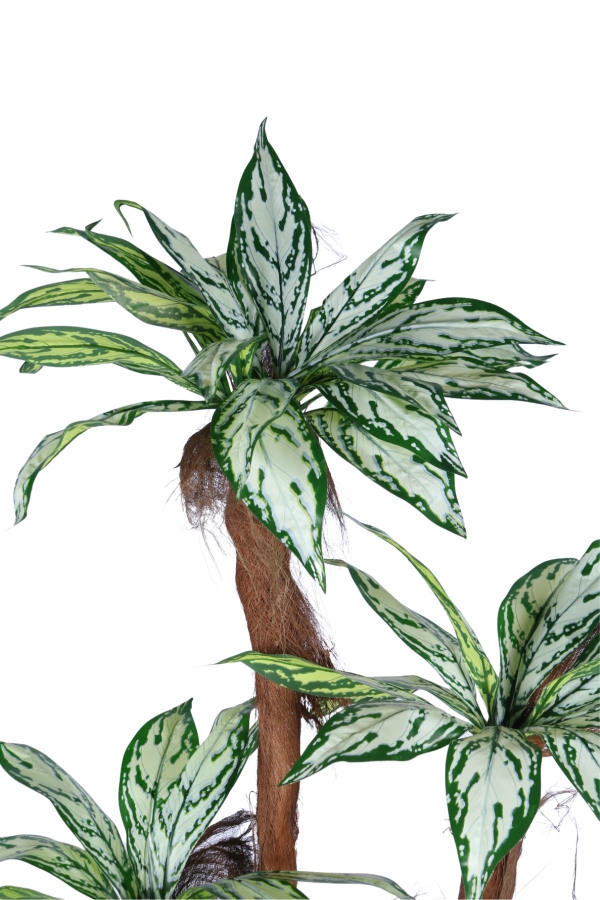 4 Gövdeli Yapay Difenbahya Ağacı Model 1 - 4