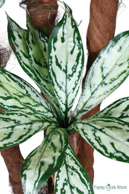 4 Gövdeli Yapay Difenbahya Ağacı Model 2 - 2