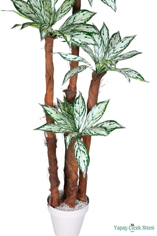 4 Gövdeli Yapay Difenbahya Ağacı Model 2 - 3