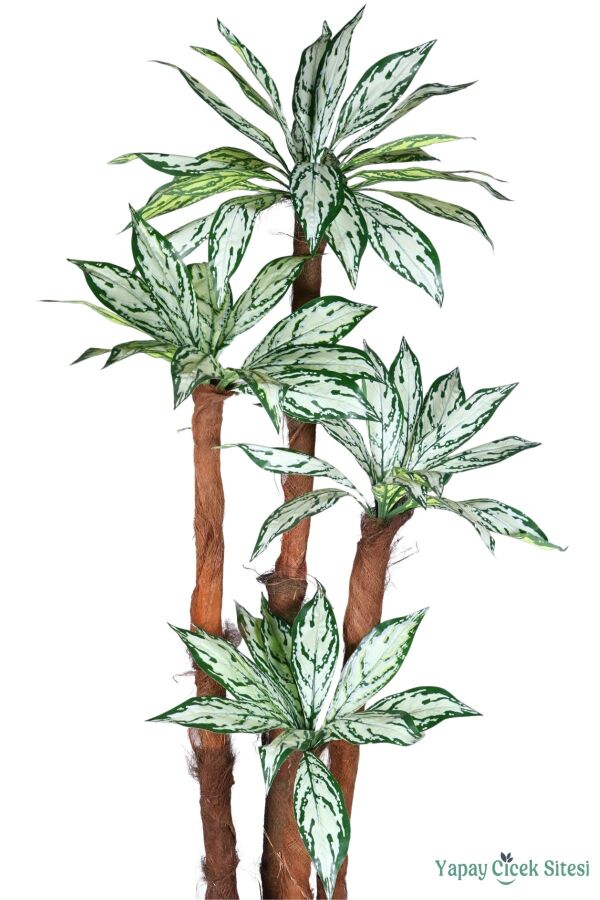 4 Gövdeli Yapay Difenbahya Ağacı Model 2 - 4