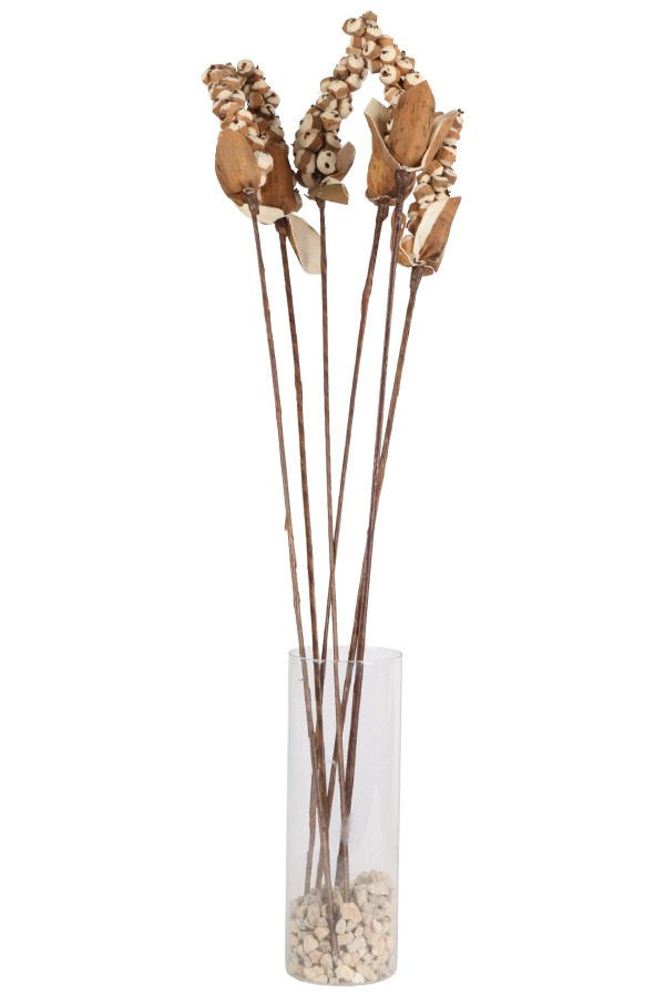 5 Adet Sholu Berries 70 cm - 1