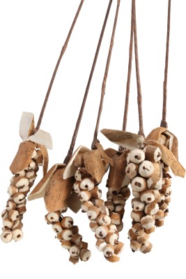 5 Adet Sholu Berries 70 cm - 3