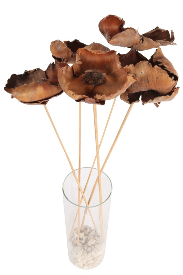 5li Palmcup Çiçeği 45 cm - 1