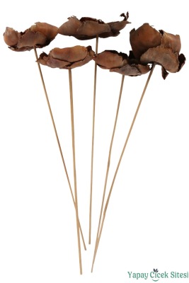 5li Palmcup Çiçeği 45 cm - 3