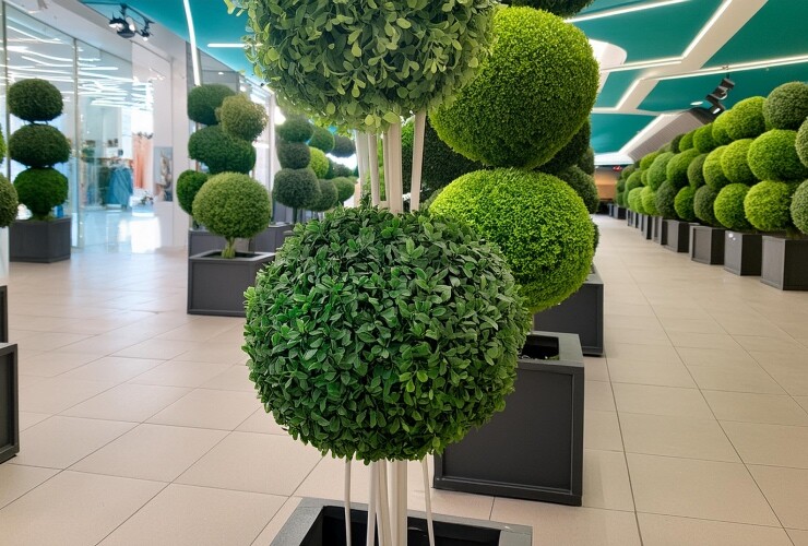 YAPAY ŞİMŞİR TOP AĞAÇLAR