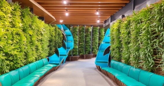 Dikey Bahçe Bitki Uygulamalarının Avantajları