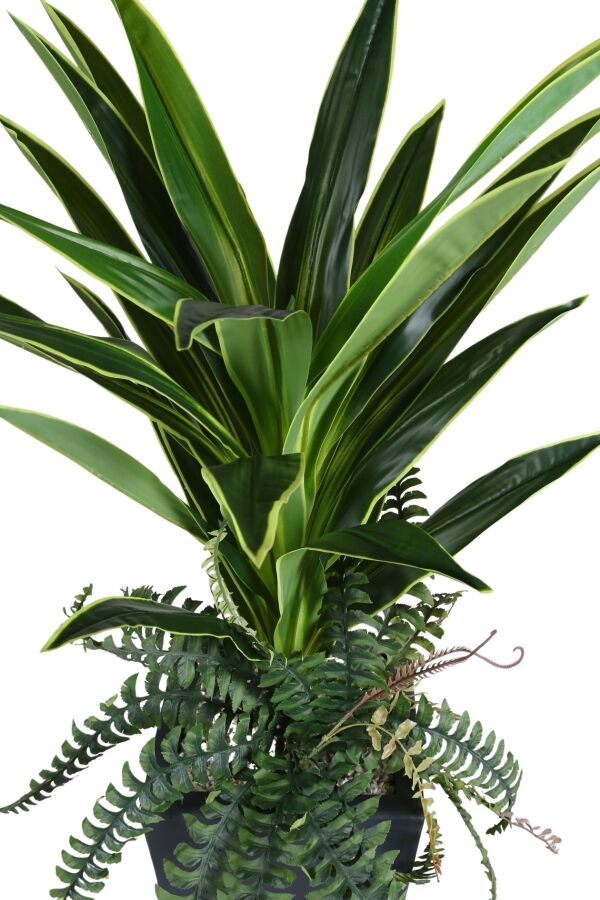 Ahşap Saksıda Yapay Dracaena Ağacı 150 cm - 2