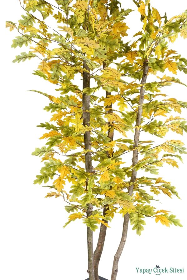 Ahşap Saksıda Yapay Meşe Ağacı 220 cm - 2