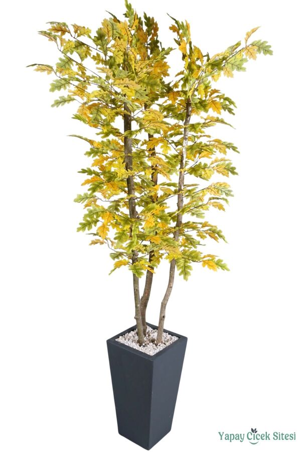 Ahşap Saksıda Yapay Meşe Ağacı 220 cm - 3