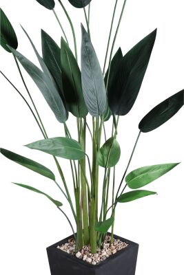 Ahşap Saksıda Yapay Starliçe Ağacı 220 cm - 2