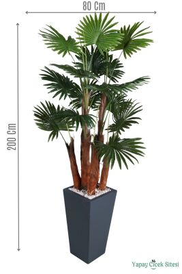 Ahşap Saksıda Yapay Yelpaze Palmiye Ağacı 200 cm - Yapay Çiçek Sitesi