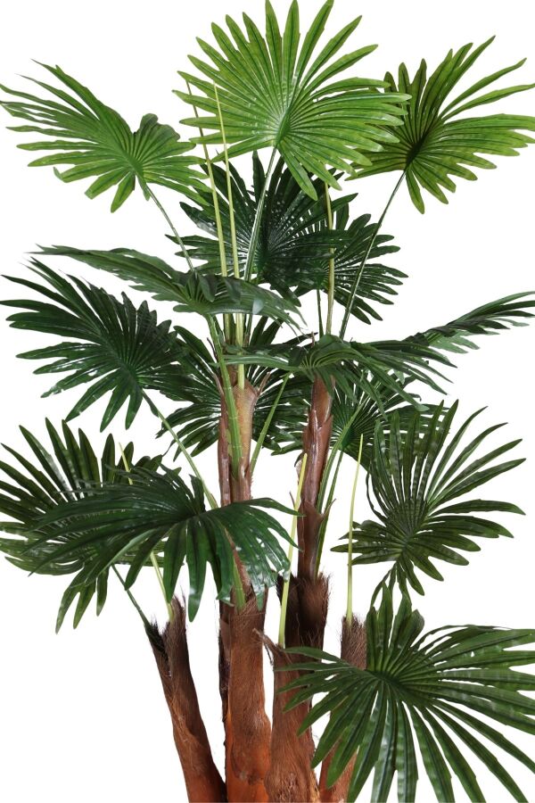 Ahşap Saksıda Yapay Yelpaze Palmiye Ağacı 200 cm - 4