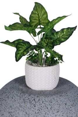 Beton Saksıda Yapay Bitkili Tanzimler Model 20 - Yapay Çiçek Sitesi