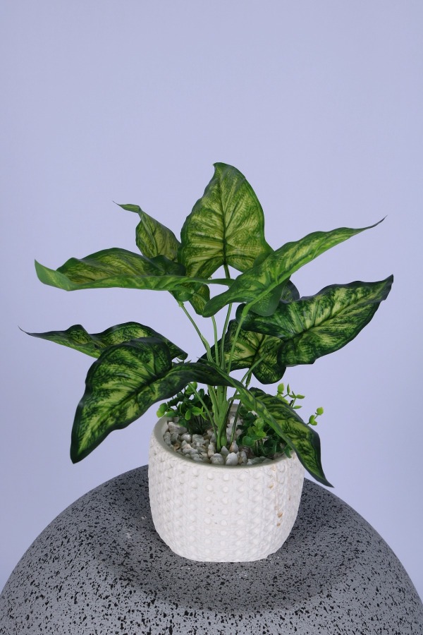 Beton Saksıda Yapay Bitkili Tanzimler Model 20 - 2