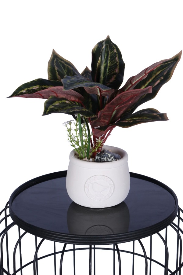 Beton Saksıda Yapay Dua Çiçeği 35 cm - 2