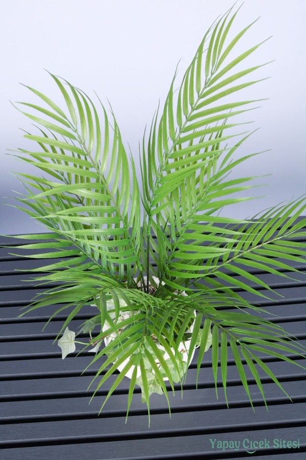 Beton Saksıda Yapay Sıkas Bitkisi 55 Cm - 3