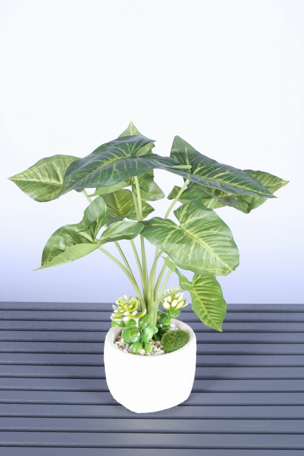 Beton Saksıda Yapay Tropik Ok Yapraklı Bitki 45 Cm - 2