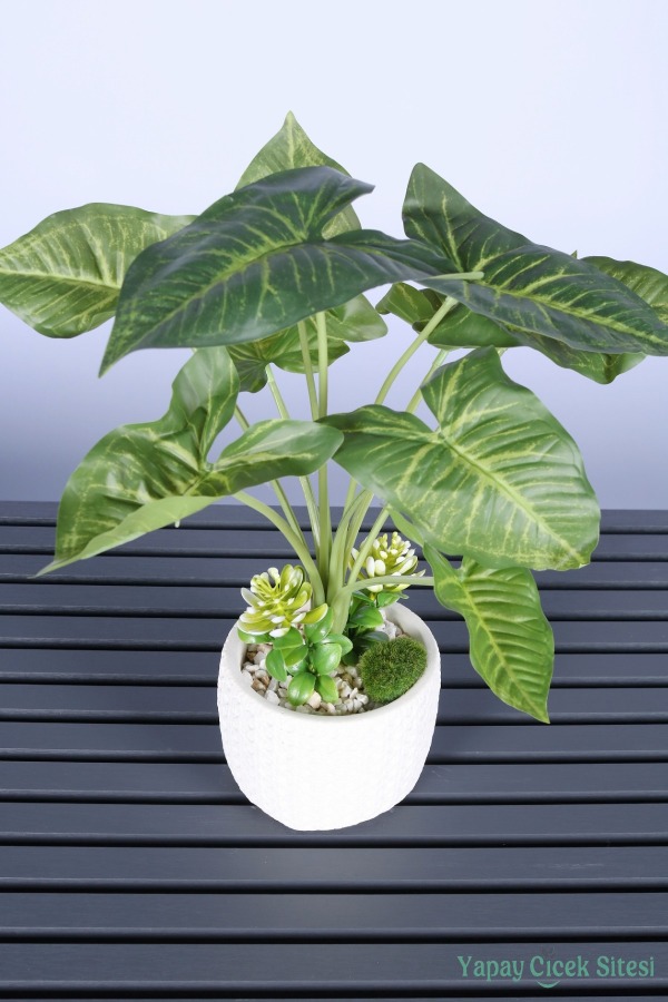Beton Saksıda Yapay Tropik Ok Yapraklı Bitki 45 Cm - 3
