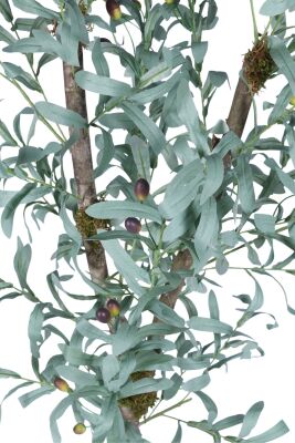 Beyaz Plastik Saksıda Yapay Zeytin Ağacı 150 cm - 3