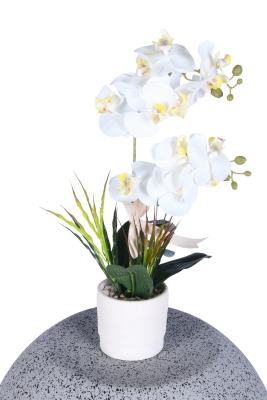 Dekoratif Beton Saksıda Yapay 2 Dal Orkide Çiçeği Beyaz - Yapay Çiçek Sitesi
