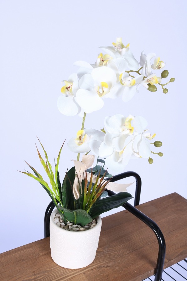 Dekoratif Beton Saksıda Yapay 2 Dal Orkide Çiçeği Beyaz - 2