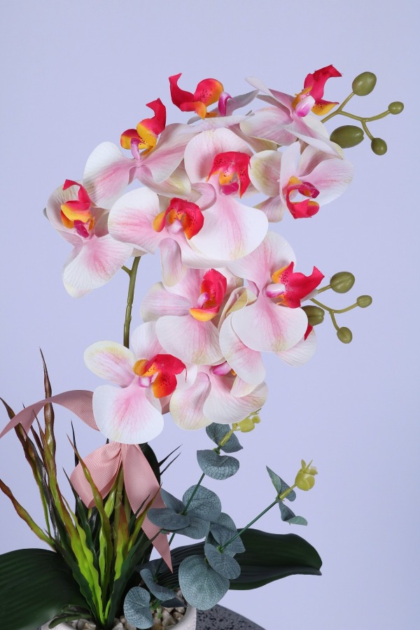 Dekoratif Beton Saksıda Yapay 2 Dal Orkide Çiçeği Fuşya-Beyaz - 3