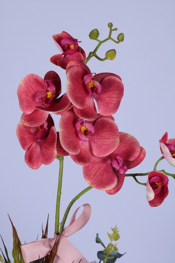 Dekoratif Beton Saksıda Yapay 2 Dal Orkide Çiçeği Pembe - 2