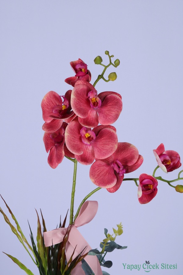Dekoratif Beton Saksıda Yapay 2 Dal Orkide Çiçeği Pembe - 3