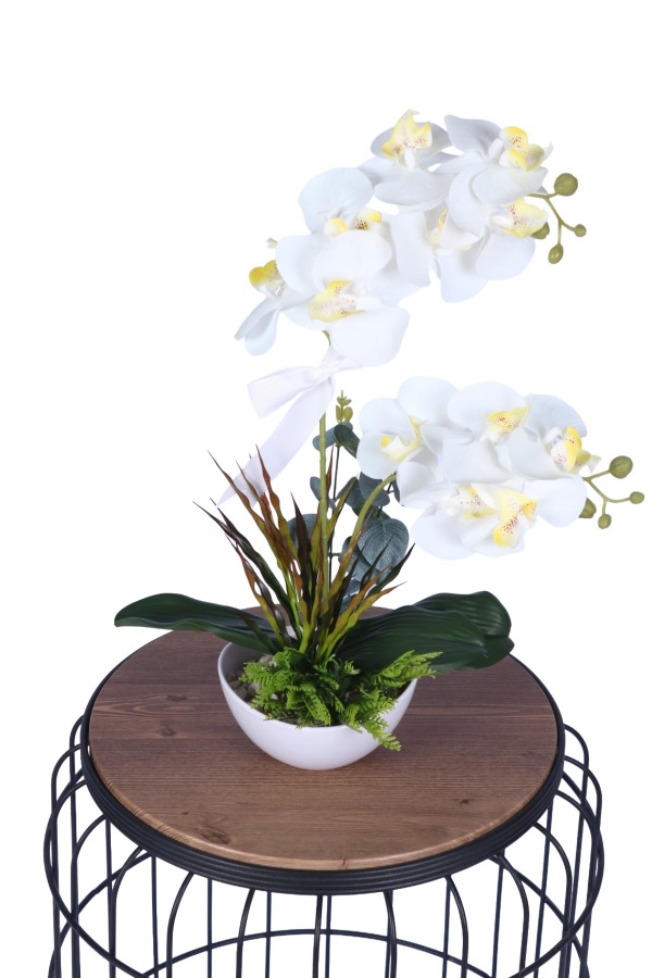 Dekoratif Melamin Saksıda Bol Yeşillikli Orkide Tanzimi Beyaz - 1