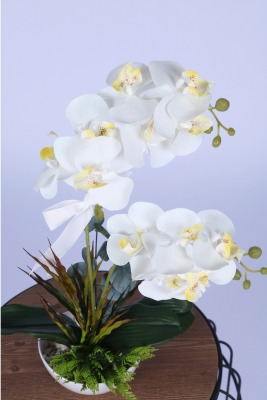 Dekoratif Melamin Saksıda Bol Yeşillikli Orkide Tanzimi Beyaz - 3