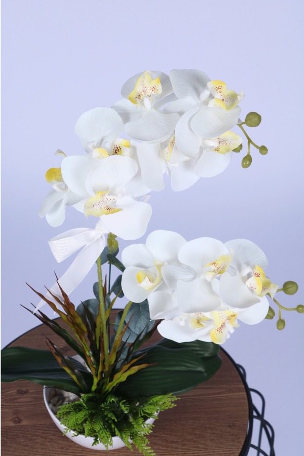 Dekoratif Melamin Saksıda Bol Yeşillikli Orkide Tanzimi Beyaz - 3