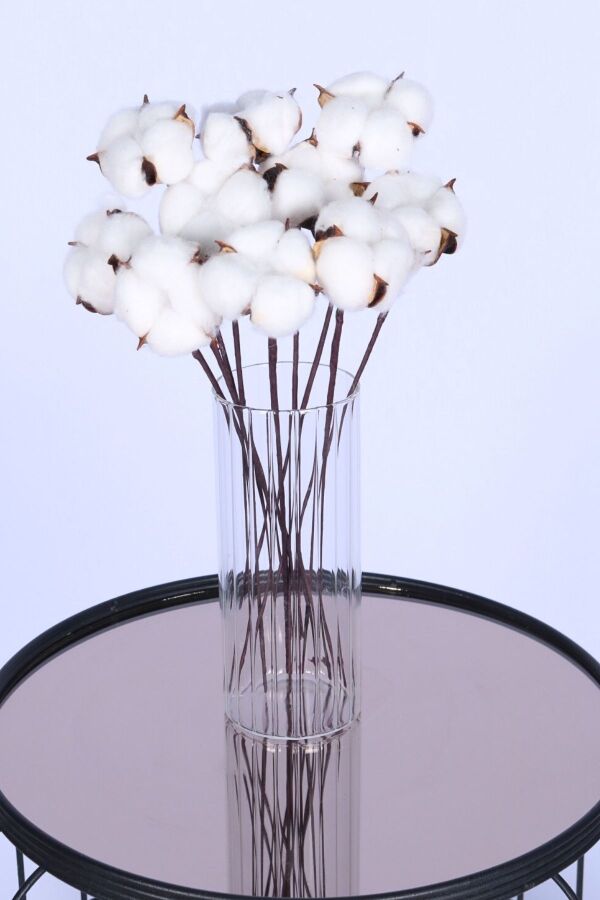 Doğal Beyaz Pamuk Çiçeği 10lu 30 cm - 1