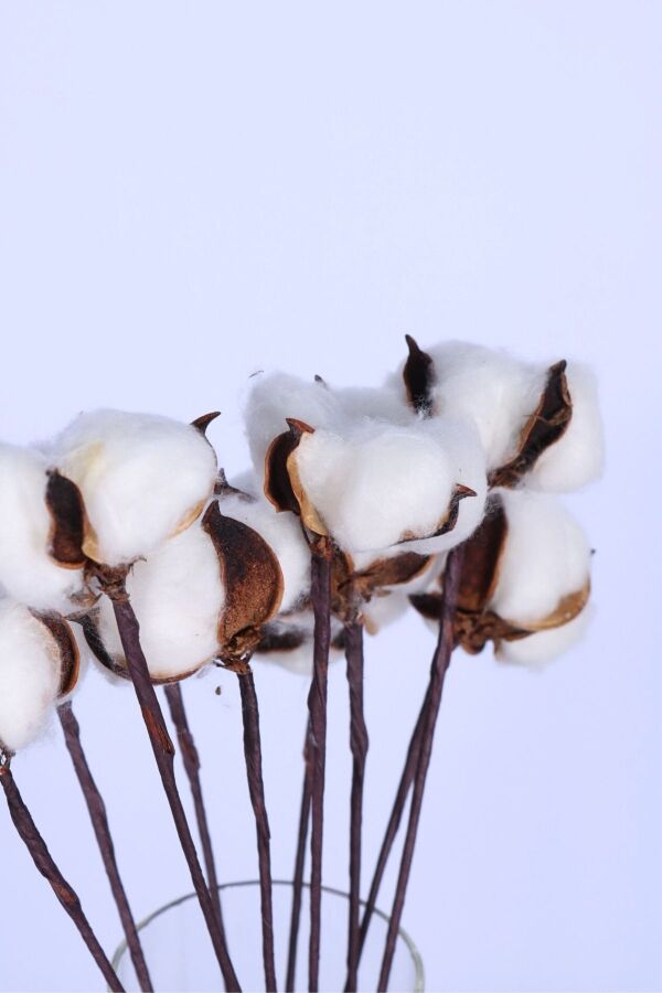 Doğal Beyaz Pamuk Çiçeği 10lu 30 cm - 4