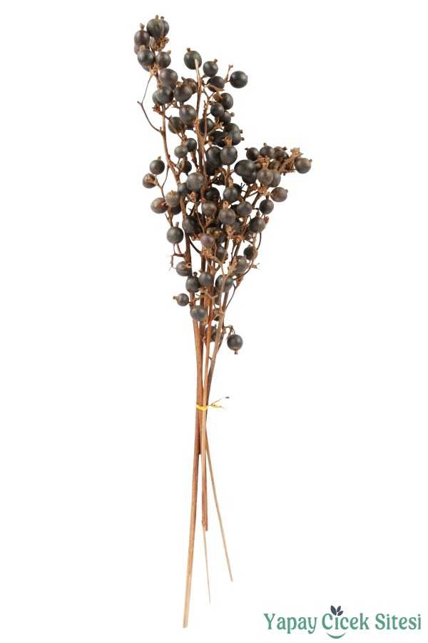 Doğal Çiçek Kuru Böğürtlen Dalı - 1