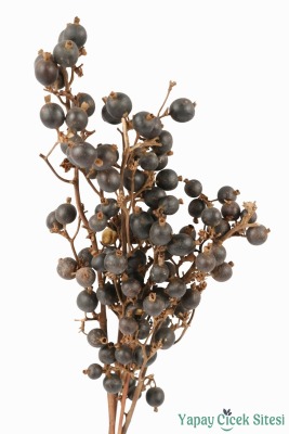 Doğal Çiçek Kuru Böğürtlen Dalı - 2