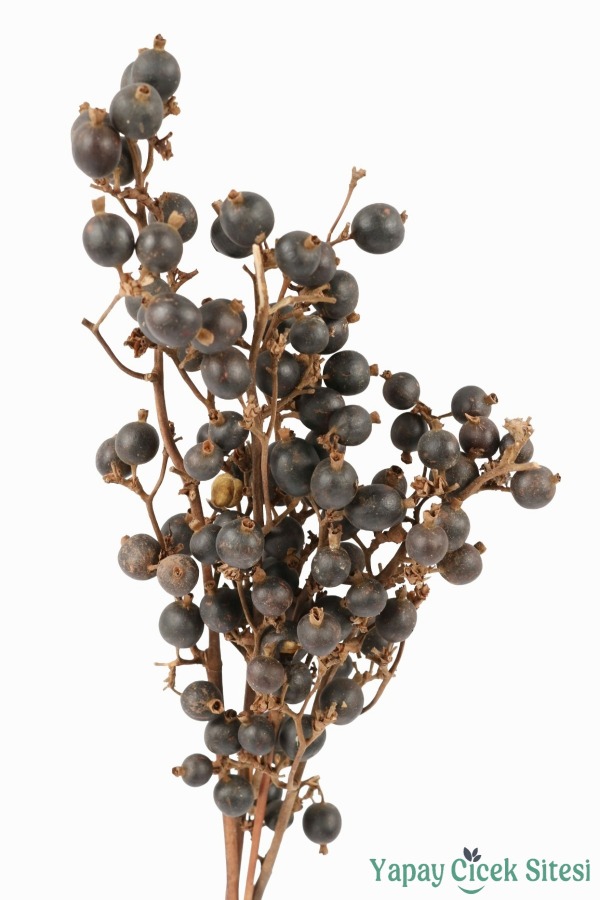 Doğal Çiçek Kuru Böğürtlen Dalı - 2