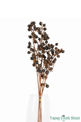 Doğal Çiçek Kuru Böğürtlen Dalı - 3